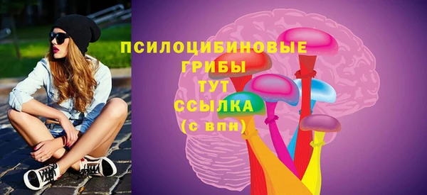 твердый Михайлов