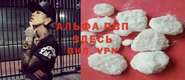 твердый Михайлов