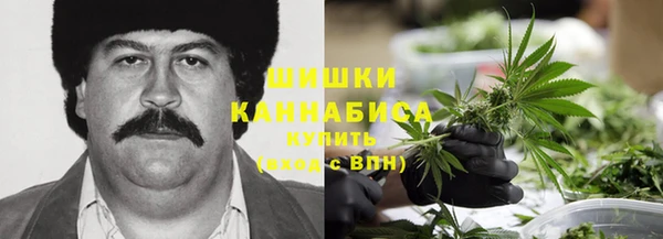 ПСИЛОЦИБИНОВЫЕ ГРИБЫ Михайловск