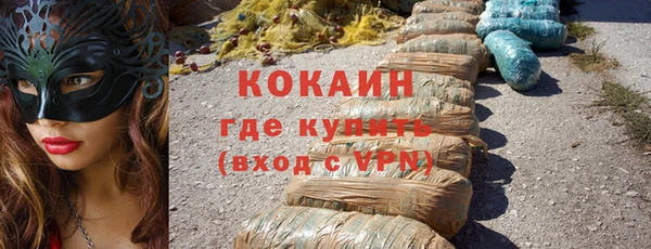 твердый Михайлов