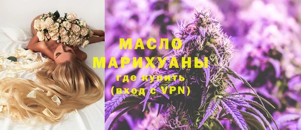 твердый Михайлов