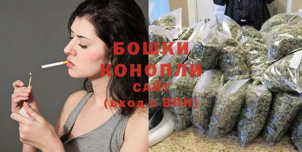 твердый Михайлов