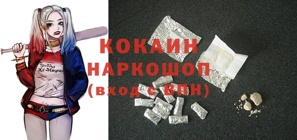 твердый Михайлов