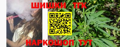 шишки Абакан