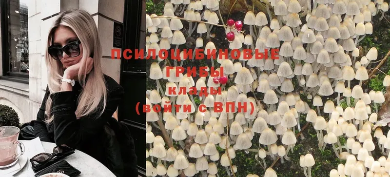 Псилоцибиновые грибы Magic Shrooms  Александров 