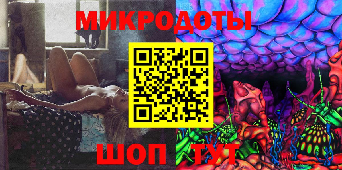 Галлюциногенные грибы Psilocybe Александров