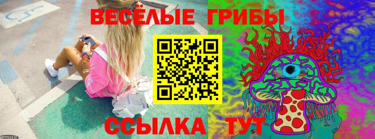 Александров  Псилоцибиновые грибы Cubensis  купить закладку  Вход с VPN 
