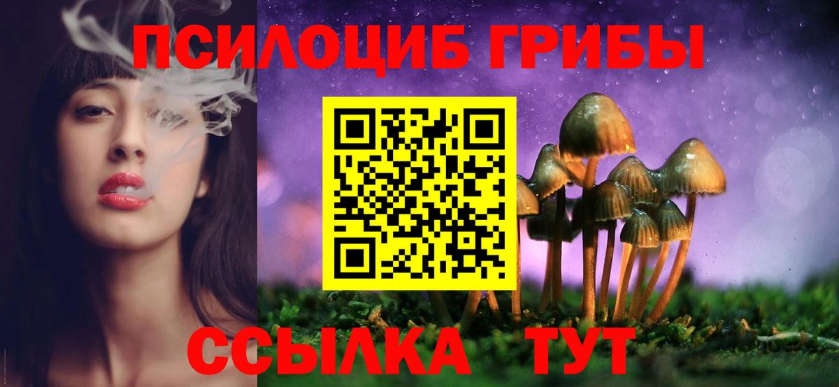 купить  цена  Галлюциногенные грибы прущие грибы  Александров  Вход с VPN  Псилоцибиновые грибы мицелий 
