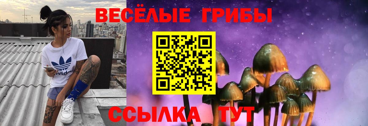 Галлюциногенные грибы MAGIC MUSHROOMS Александров