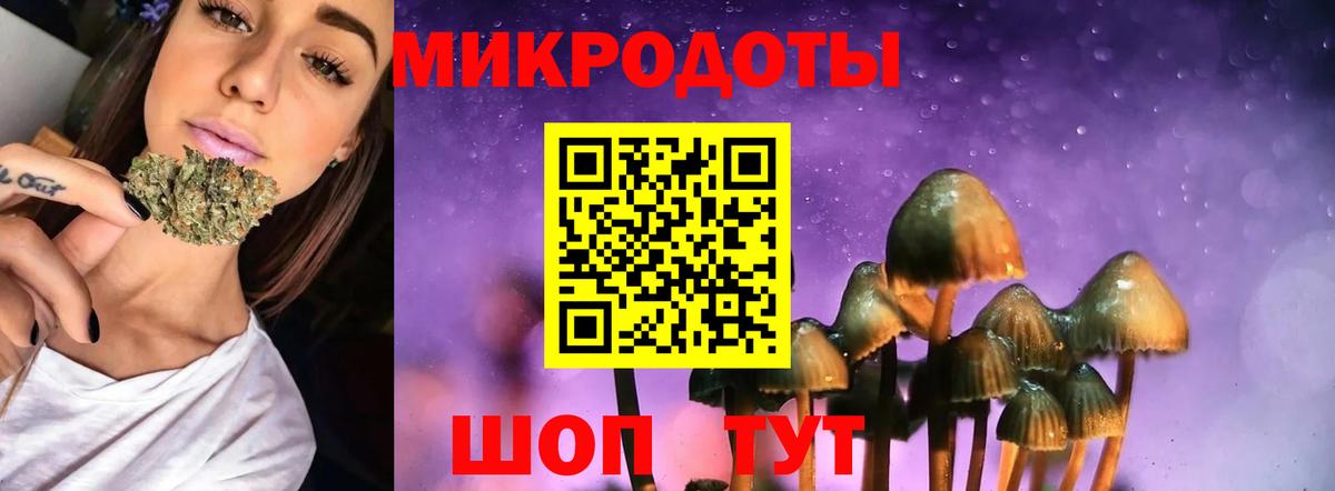 Псилоцибиновые грибы мухоморы  Александров 