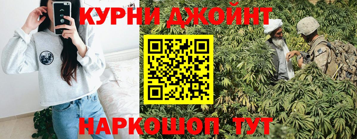Бошки Шишки сатива Александров